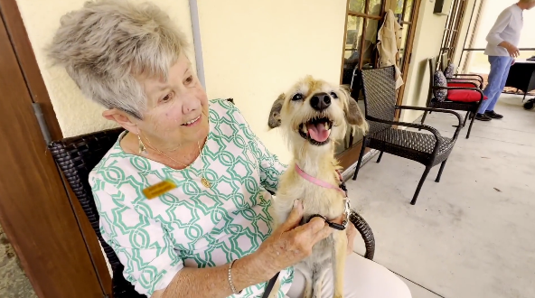 DC Cypress DITL Thumbnail