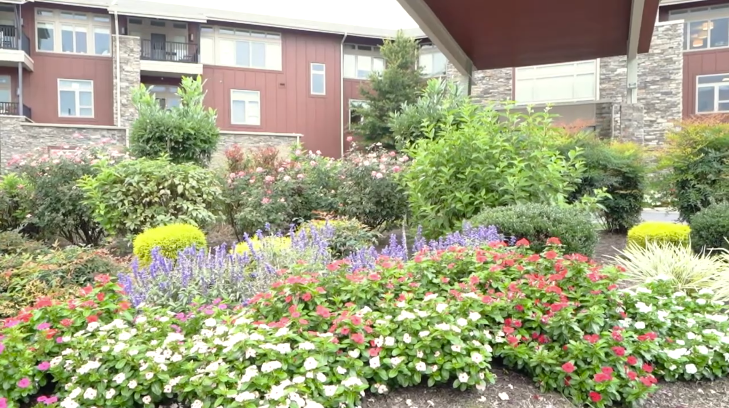 Screenshot 2025-12-31 122736